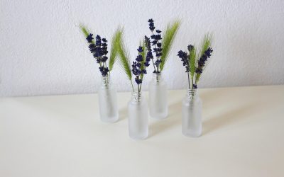 La décoration minimaliste : les dernières tendances